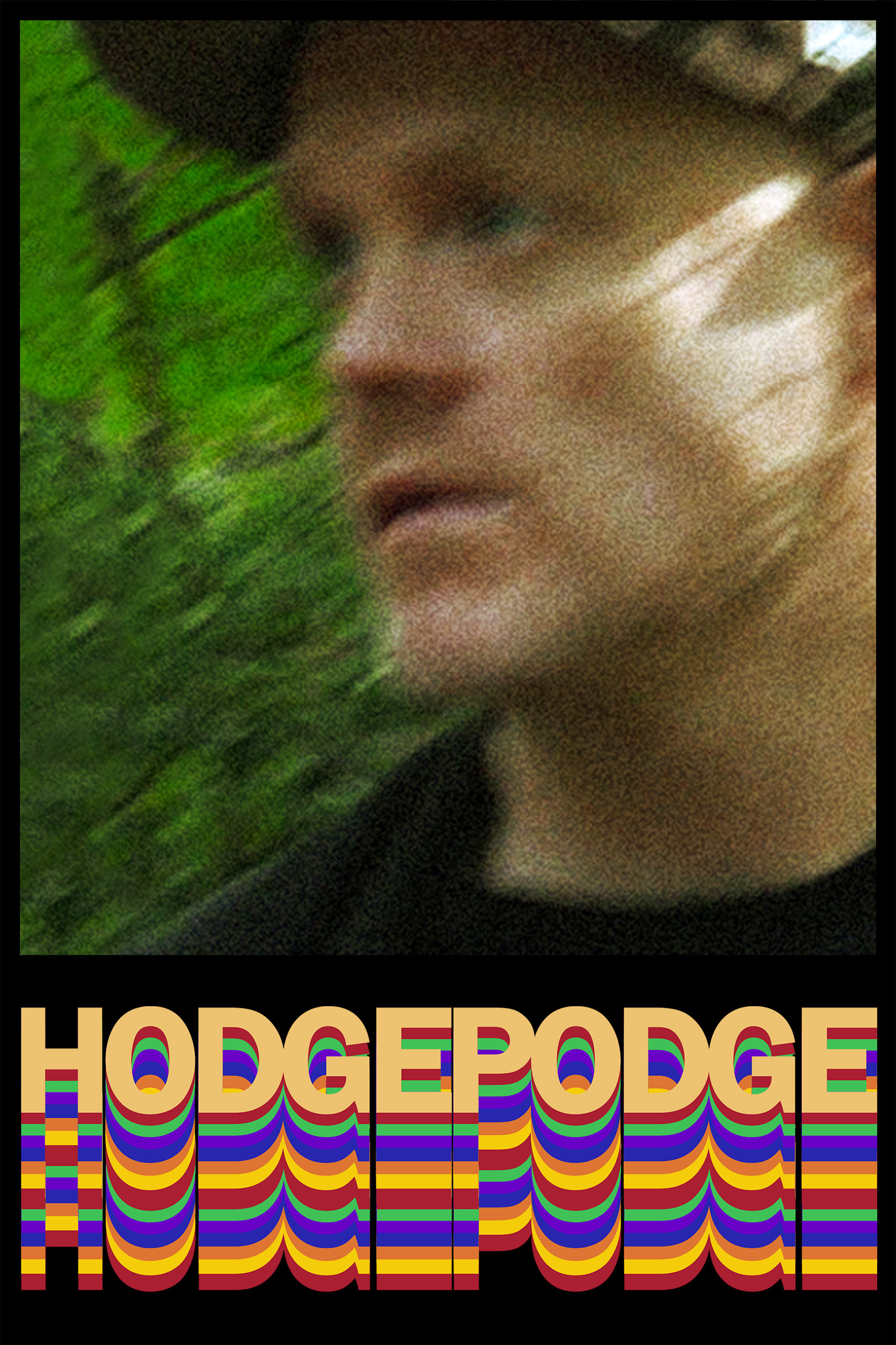 Постер Hodgepodge